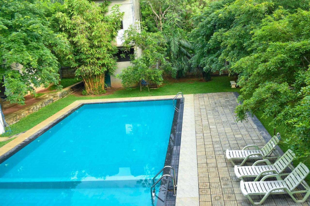 Pivisuma Lodge Dambulla Ngoại thất bức ảnh