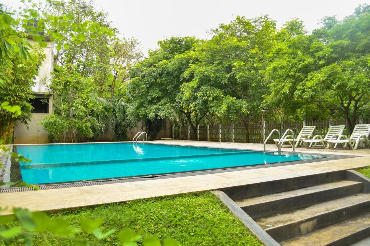 Pivisuma Lodge Dambulla Ngoại thất bức ảnh