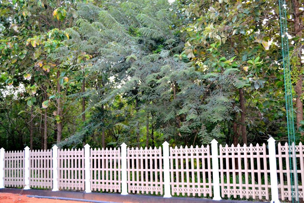 Pivisuma Lodge Dambulla Ngoại thất bức ảnh